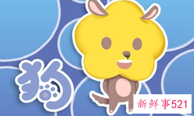 属狗的适不适合做生意