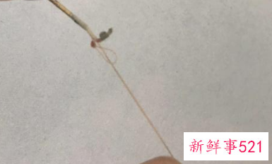 新手钓鱼怎么把鱼线绑到杆上