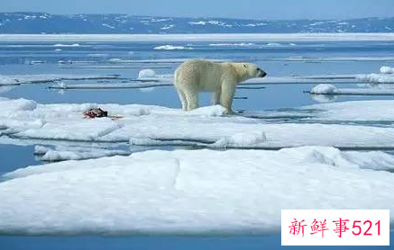 全球变暖会导致冬天变冷吗