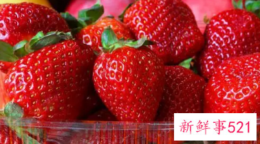 草莓与什么食物相克