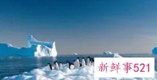 全球变暖会导致冬天变冷吗