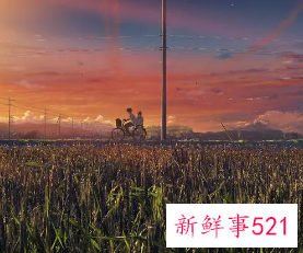 一眼就爱上的微信昵称文艺网名