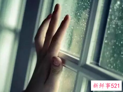 梦见下雨关窗户预示着什么