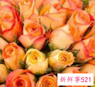 让男人离不开的生肖女