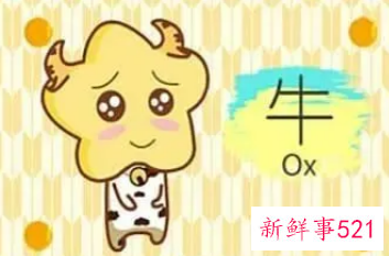 属牛的住房方向与位置