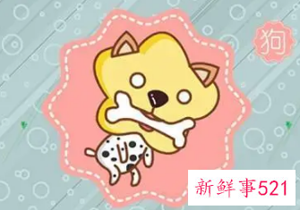 1994年属狗女适合戴金吗