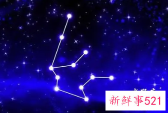 什么星座爱水瓶女