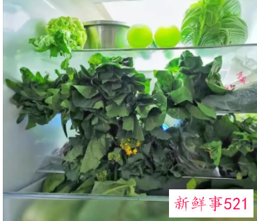 洗干净的青菜过夜放冰箱吗