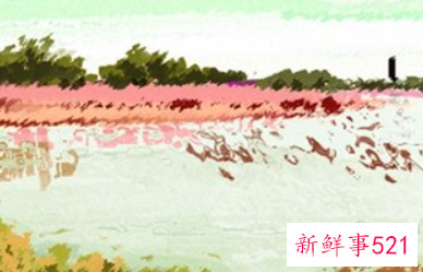 完美身材的星座女有哪些