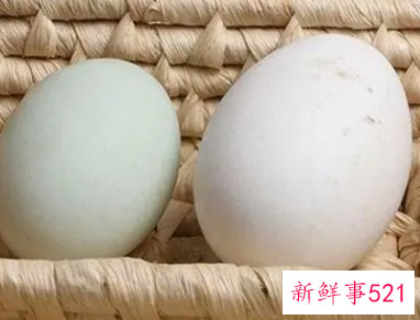 女人每天晚上吃一个鹅蛋好吗