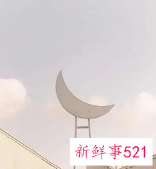 形容外貌长相的句子