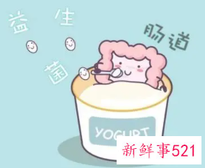 喝什么对肠道好又排毒