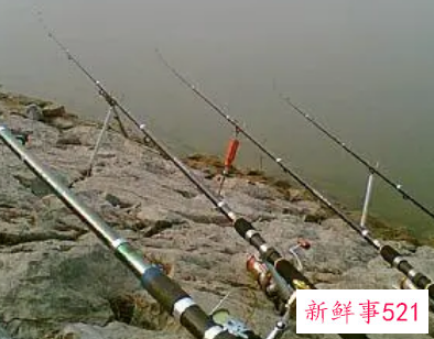 钓小白条用多长的鱼竿好