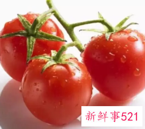 圣女果冷藏的最佳温度