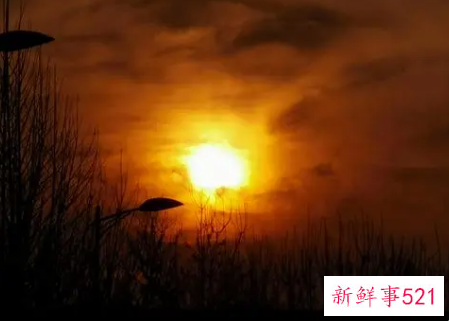 梦见黎明有什么征兆