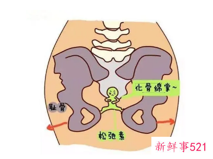 怀孕7个月耻骨疼怎么回事