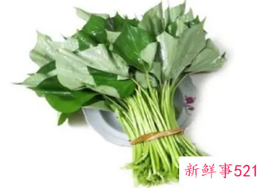 红薯叶怎么做好吃又简单