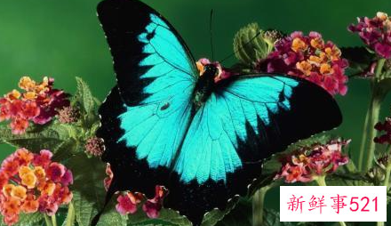 女人要如何过好自己的人生