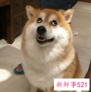 网络流行语2021排行榜数字