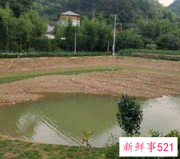 承包鱼塘体是什么意思