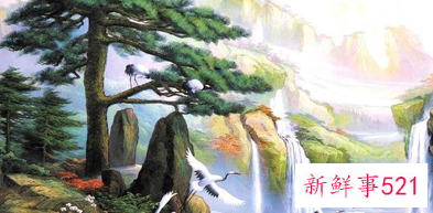 客厅沙发后面挂什么画比较好