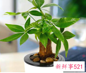 办公桌前面不能放什么