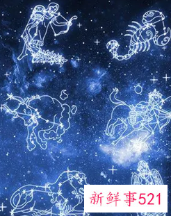 运筹帷幄的星座女生