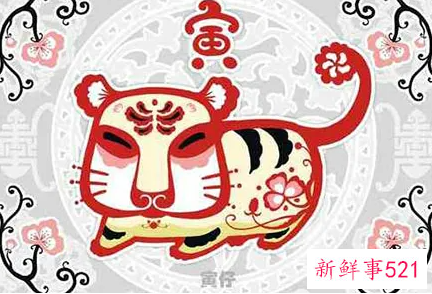 属虎女与属龙男合适吗