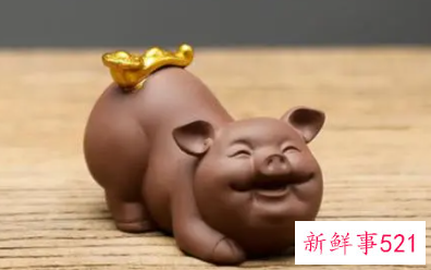 属猪的什么颜色最旺财