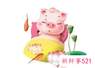 83年属猪女一生财运