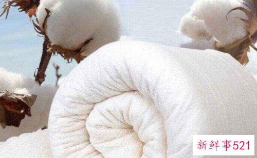 棉被芯发霉了怎么办