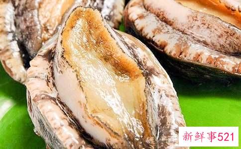 鲍鱼的营养价值和副作用