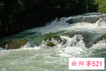 梦见河水很大很急流