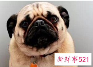 个人书面检查200字范文