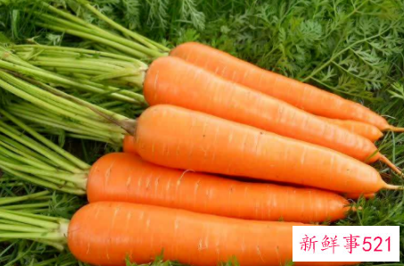 幼儿健康卫生小常识简短