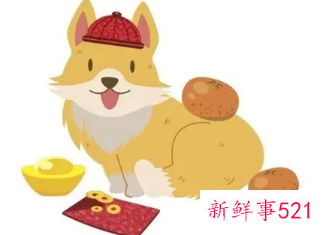 1994年属狗女适合戴金吗