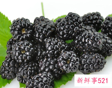 来例假吃点啥最舒服