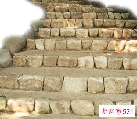 梦见上台阶下台阶有什么征兆