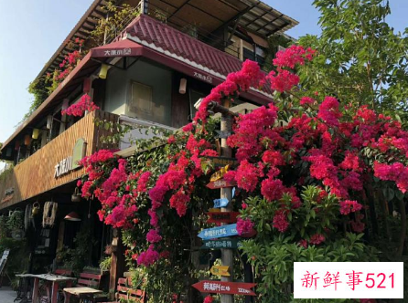 广东旅游景点推荐海边