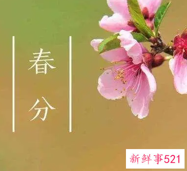 春分节气的含义