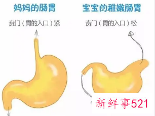 新生儿食管反流怎么办