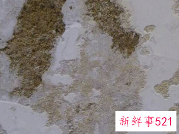 老房子墙皮脱落怎么办