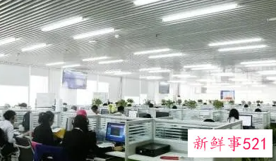 属羊人可以创业开店开公司吗