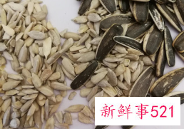 梦见瓜子壳的寓意