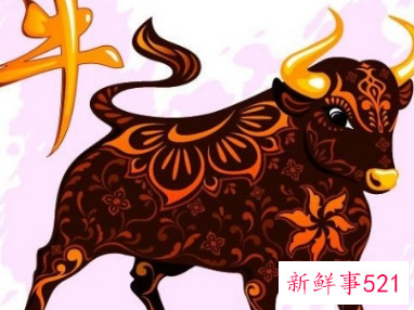 属牛的住房方向与位置