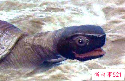 十二星座对应的神话人物