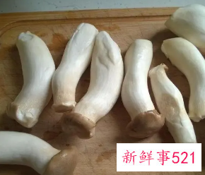 杏鲍菇不能跟什么一起吃