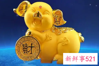 属猪男认定你的表现