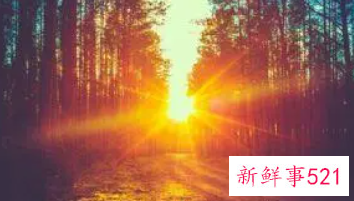 梦见演戏什么意思