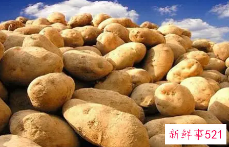 孕妇体虚吃什么食补